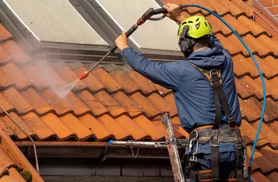 Démoussage et hydrofuge de toiture à Lamouilly